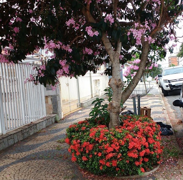 Casa de Repouso Esperança de Viver